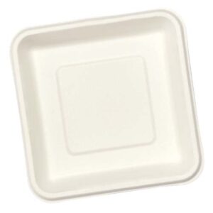1 D TRAY Square Plate