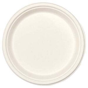 6'' Plain Plate