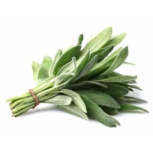 Sage