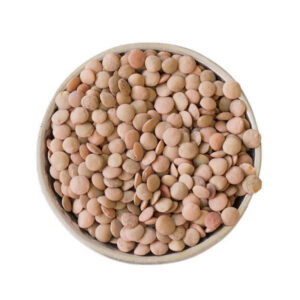 Brown Lentils